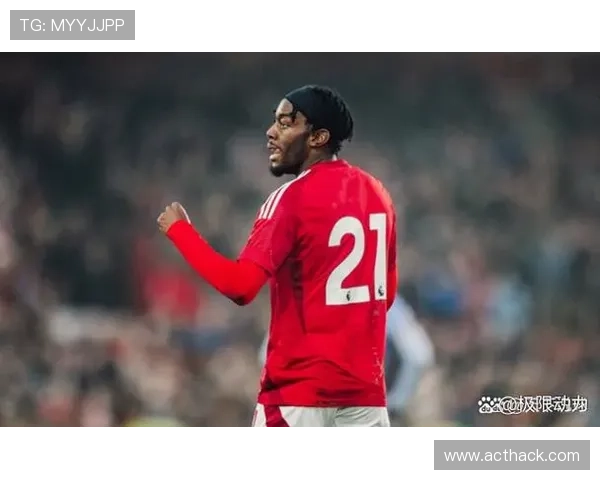 诺丁汉整体实力